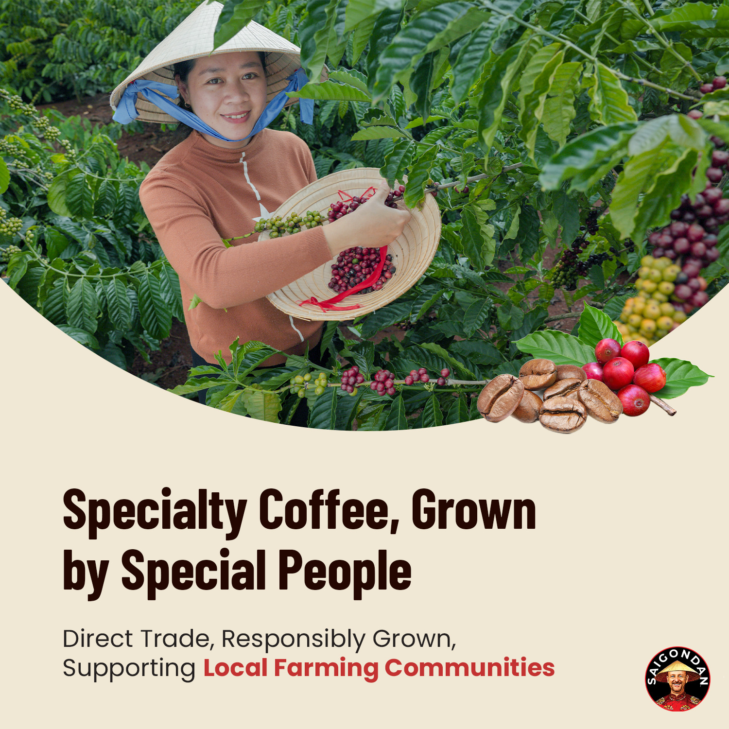 SAIGONDAN Passion Vietnamese Single Origin Robusta Coffee — French Roast Whole Bean, Bold & Rich Flavor, 12 oz