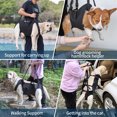 thumbnail image 6 of Duuclume Dog Lift Harness, Emergency Backpack Pet Legs Support & Rehabilitation Dog Sling Carrier, Adjustable Lifting Straps Dog Carrier for Senior Elderly Dogs Joint Injuries Arthritis S, 6 of 6