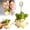 1PC-Plush Keychain A, variant on Garlic Bird Plush Keychain Talking- Cute Furry Bird Doll Bag Charm Key Chain with Sound - 3D Cartoon Ornaments Pendant Toys for Backpacks, Handbags,Car Keys - Teacher Birthday Graduation Gifts