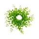 thumbnail image 2 of Vela de corona de eucalipto, base decorativa de flor artificial de plástico, adorno de mesa, verde, de larga duración, 20 cm, 2 of 6