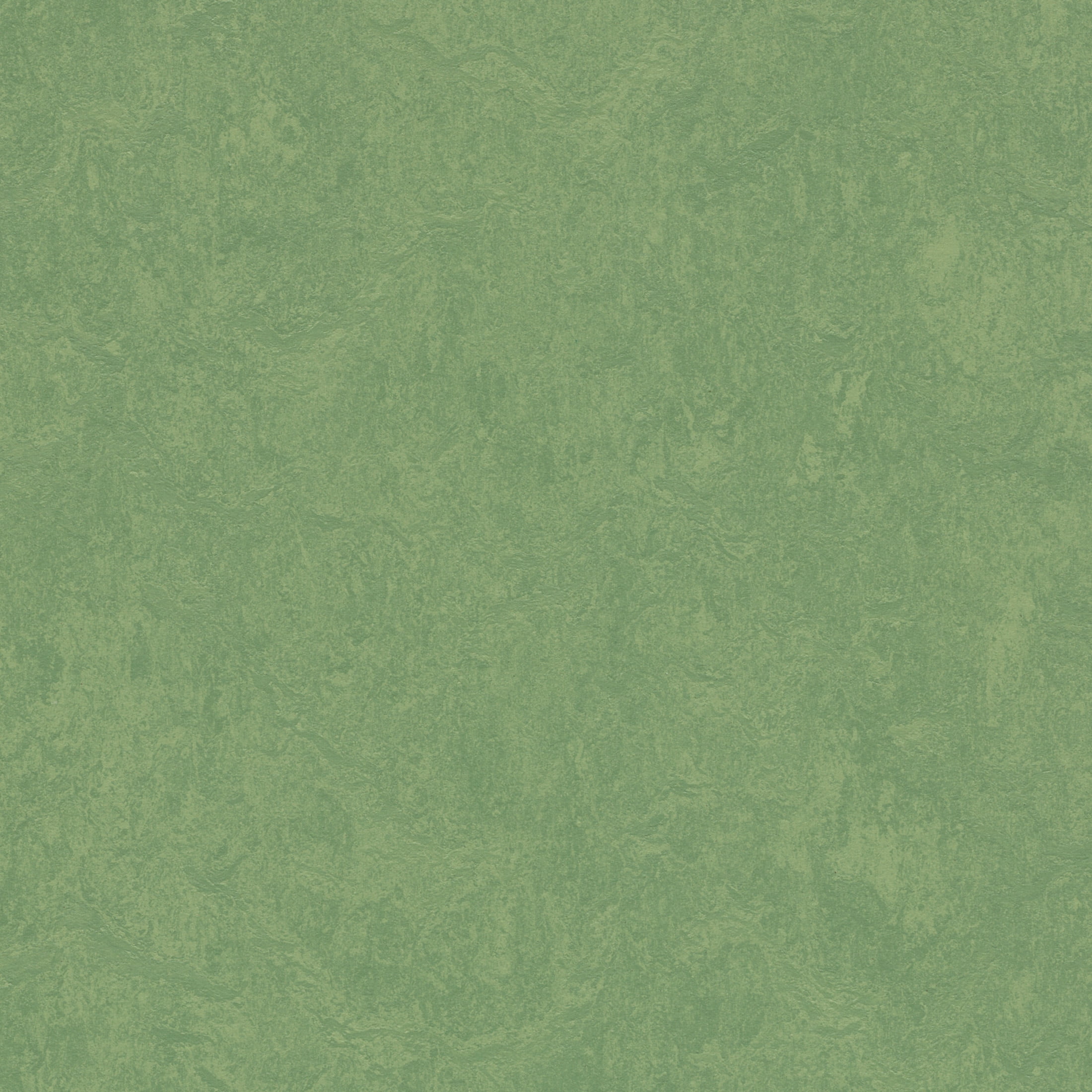 Forbo Flooring Marmoleum Cinch Loc Seal 11.81" x 11.81" Laminate Square in Leaf 6.78 Sq ft