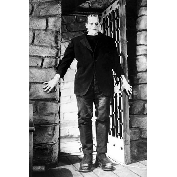 Frankenstein Boris Karloff 24X36 Poster
