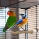 thumbnail image 4 of Varilla de Sujeción para Pájaros, Varilla para Afilar Garras de Jaula, 4 of 6