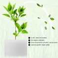 thumbnail image 3 of 50Pcs/Set Sponges (33x30mm) Soilless Hydroponics Vegetable Growing System Planting Gardening Tool, 3 of 5