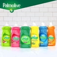 thumbnail image 4 of Savon à vaisselle liquide Palmolive Essential Clean, parfum Orange et tangerine, 4 of 9