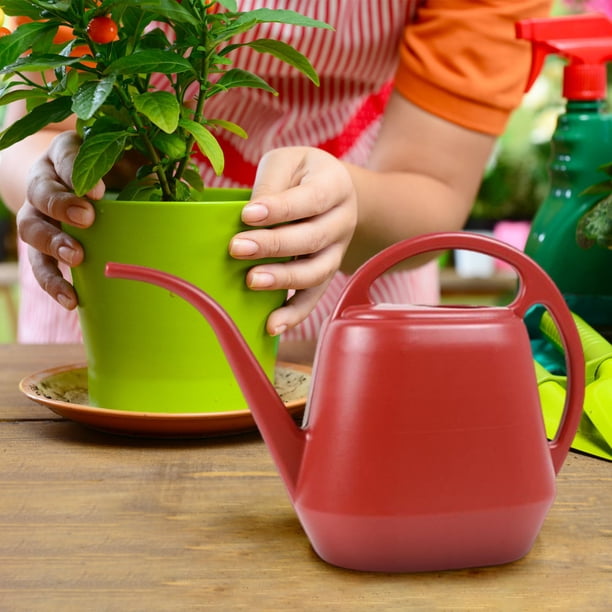 Regadera de 1 galón con pico largo, regadera con diseño de flores, regadera de interior con asa, regadera de plástico para plantas de jardín.