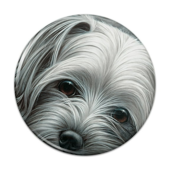 Yorkshire Terrier Yorkie Tired Sleepy Dog Pinback Button Pin
