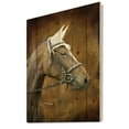 thumbnail image 2 of Designart 'Close Up Portrait Of Brown Horse With White Ears' Farmhouse Print on Natural Pine Wood, 2 of 5