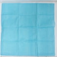 thumbnail image 3 of 12 Pc Puppy Training Pads Premium Quilted  22.4" Dog Wee Wee Pee Pet Underpads, 3 of 7