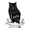thumbnail image 2 of Dos Santos, Bella 12x12 Gold Ornate Wood Framed with Double Matting Museum Art Print Titled - Owl Always Love You, 2 of 4