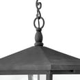 thumbnail image 5 of Hinkley Lighting 1428-Ll Trellis 4 Light 16" Wide Outdoor Pendant - Bronze, 5 of 7