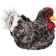 thumbnail image 1 of Pollo de peluche Douglas Pepper Black Multi Hen 21 cm, 1 of 1