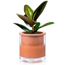 EFISPSS 6-inch Self-Watering Terracotta Pot with Glass Reservoir, Indoor/Outdoor Flower Planter for Succulents Herbs, Home Office Balcony Garden Decor