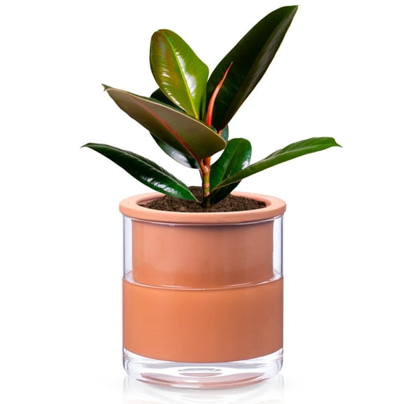 EFISPSS 6-inch Self-Watering Terracotta Pot with Glass Reservoir, Indoor/Outdoor Flower Planter for Succulents Herbs, Home Office Balcony Garden Decor