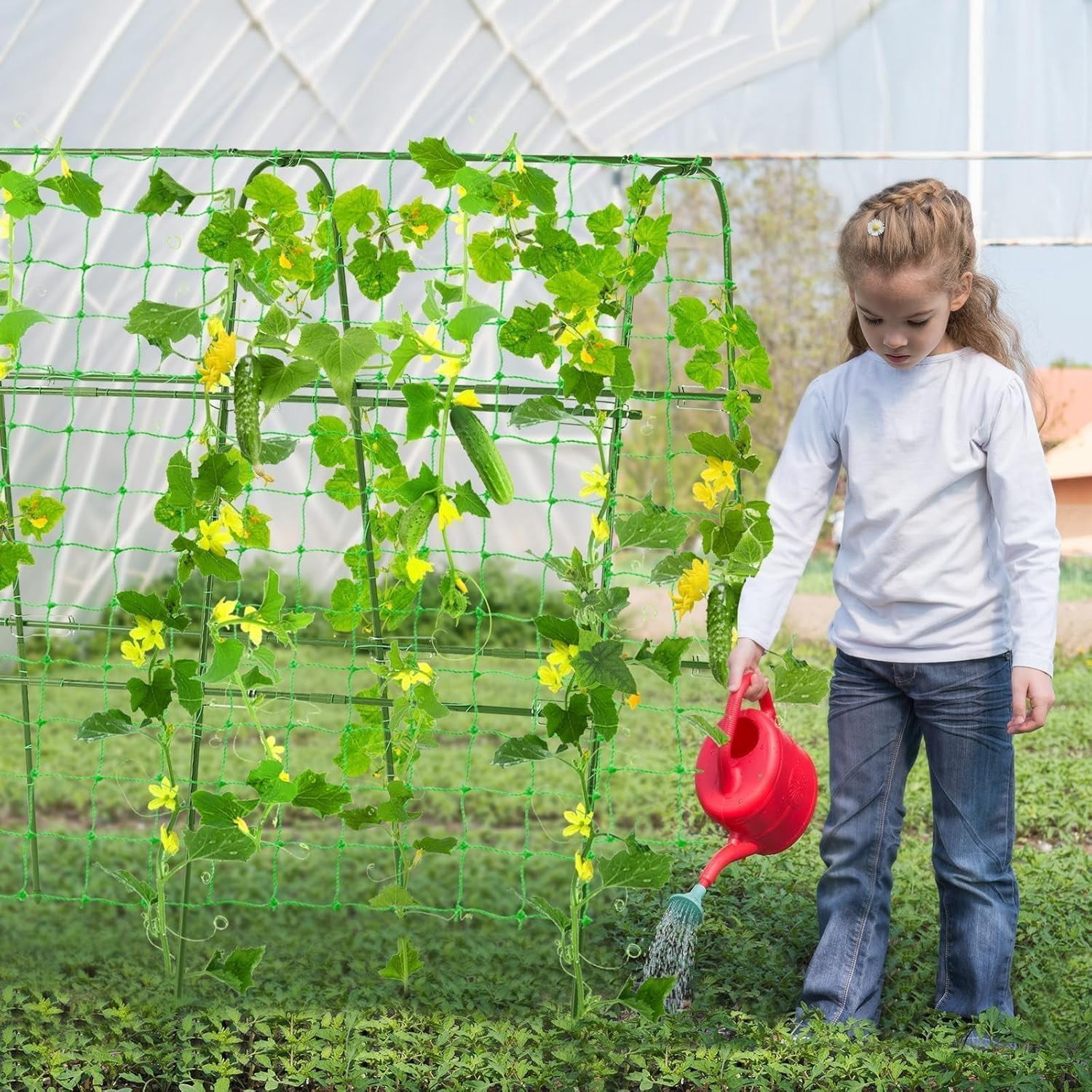Garden Cucumber Trellis for Climbing Plants Outdoor, 48x48inch U-Shape Arch Trellis for Garden Raised Bed, Plant Support for Grape Vine Tomato Vegetable Pea Bean, Green