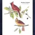 thumbnail image 2 of CafePress - Audubon Northern Cardinal Bird Cap - Adjustable 100% Brushed Unisex Casual Cotton Baseball Cap, Beige, 1, 2 of 2