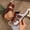 Brown, variant on Peep Toe Wedge Sandals For Women Buckle Strap Heart Detail Cushioned Non Slip For Summer Beach Vacation Casual Daily Leisure