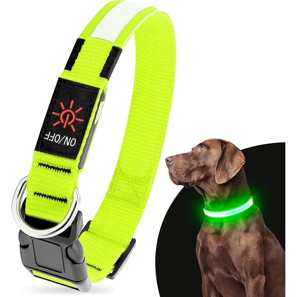 Liangnv Collar para Perro LED, Collar para Perro con luz Recargable USB Que Brilla en la Oscuridad (Verde, Mediano)