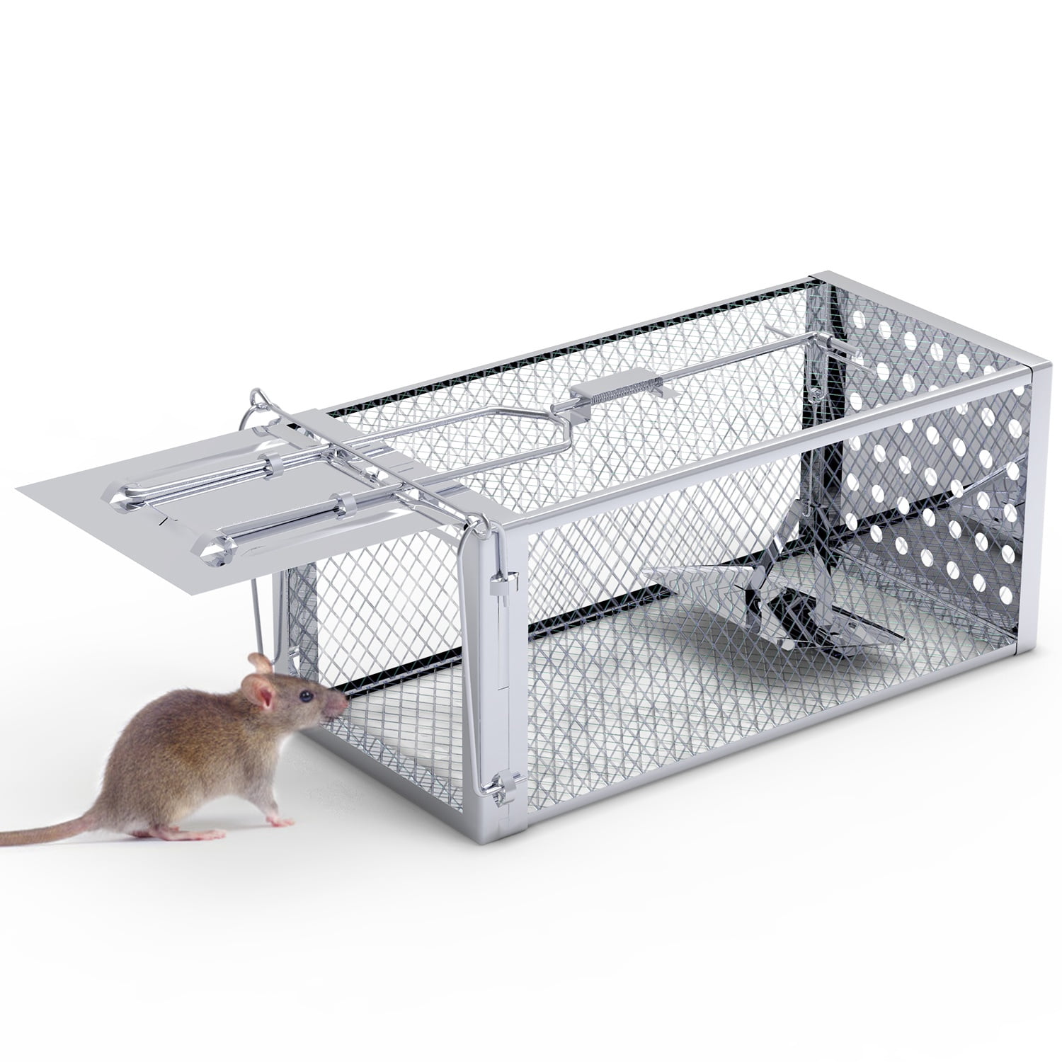 TeqHome Humane Mouse Traps, 11.8" Single Door Rat Trap Cage for Small Rodents Mice Voles Reusable Easy to Set Mice Catcher for Indoor Outdoor