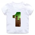 thumbnail image 3 of Camiseta con estampado de juego Mc para niños de 2 a 14 años, divertida camiseta de dibujos animados con números de cumpleaños, regalo para bebés, camisetas de algodón para niñas, 3 of 5