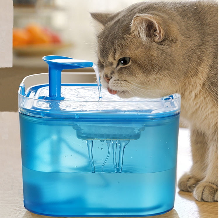 WF01 Blue Pet Water Fountain