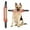 Red, variant on SIfdSeng Dog Training Green Tear Cloth Stick Chew Chew Teeth Dog Stick Target Dog Training Supplies Dog Toy Big Dog Toys Outdoor Toys Teething Toys for Puppies