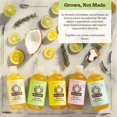 thumbnail image 4 of Gel de baño herbal de menta de Moon Valley, ingredientes totalmente naturales, sin parabenos, vegano, aceites esenciales hidratantes, paquete de dos, 4 of 5