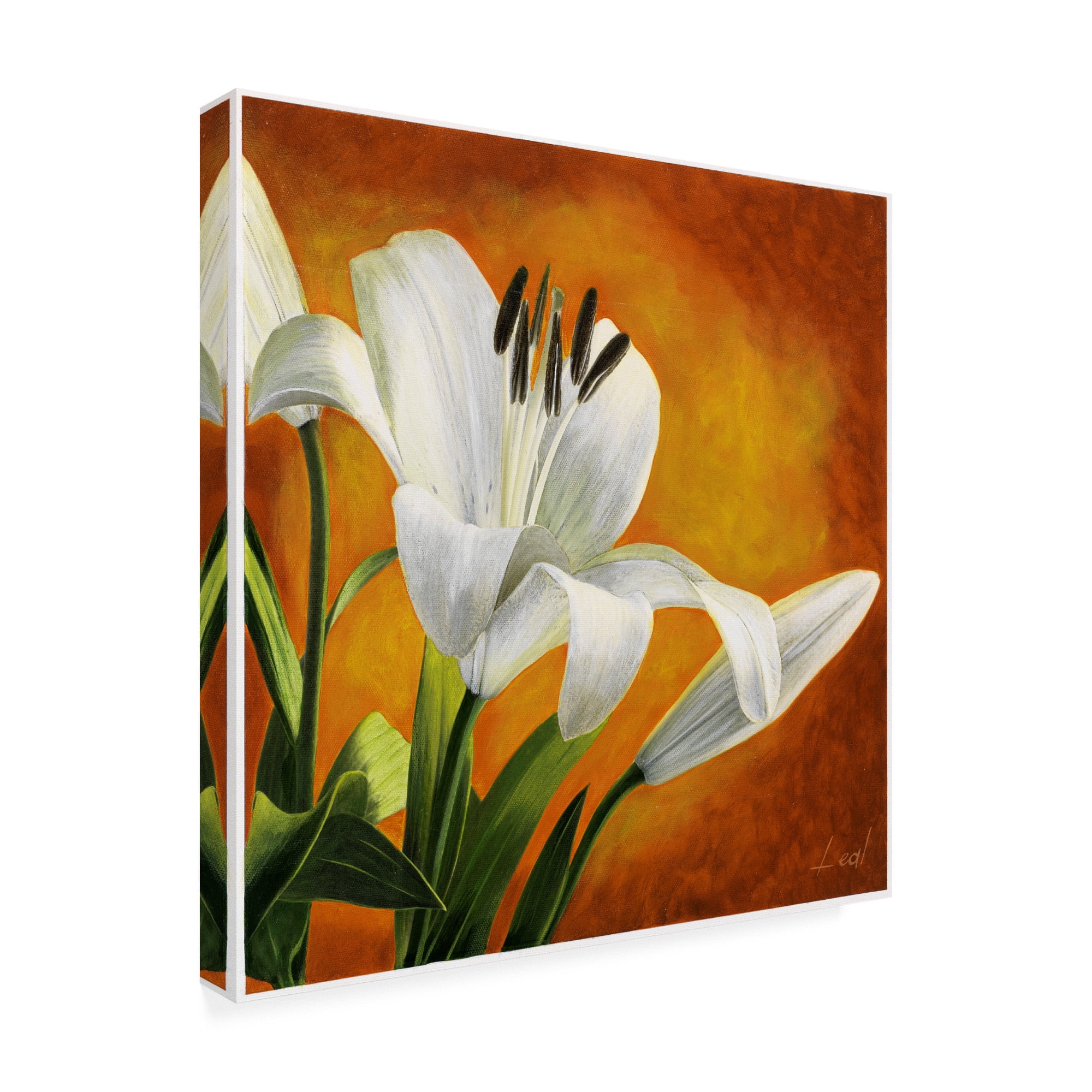 Trademark Fine Art 'White Flower Over Orange Light 2' Canvas Art by Pablo Esteban