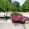 thumbnail image 4 of RTS Home Accents Elevated Planter 36" Black, 4 of 5
