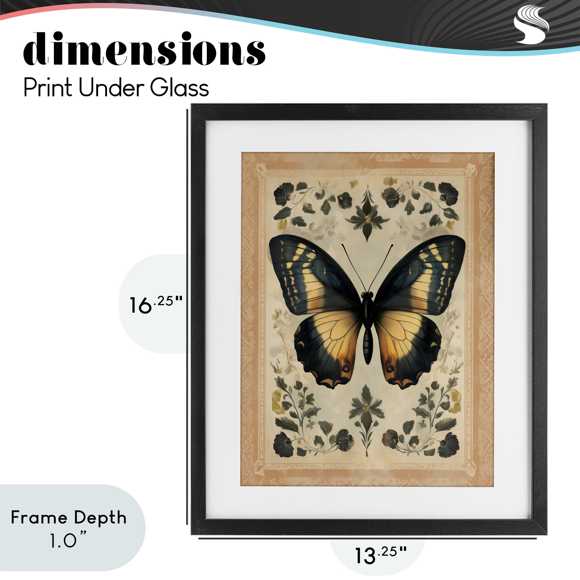 Stupell Industries Vintage Butterfly Botanical Illustration Black Framed Print Under Glass, design by Arlington Prints