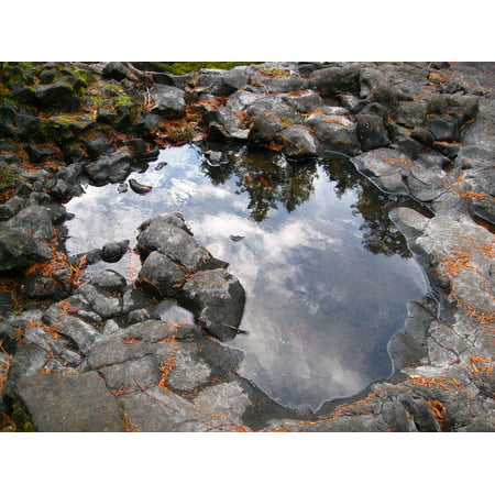 LAMINATED POSTER Oregon Coast Puddle Beach Reflection Tide Pool Poster Print 24 x
