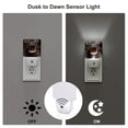 thumbnail image 3 of Pofeuu Playful Baby Hippo Splash Print Night Lights Plug into Wall with Dusk-to-Dawn Light Sensor, LED Nightlight for Bathroom, Adult, Hallway-UK, 3 of 7
