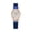 Blue#1_AF06, variant on Rose Gold Watch for Women Mesh Strap Fashion CasualQuartz Ladies Watch Coffee