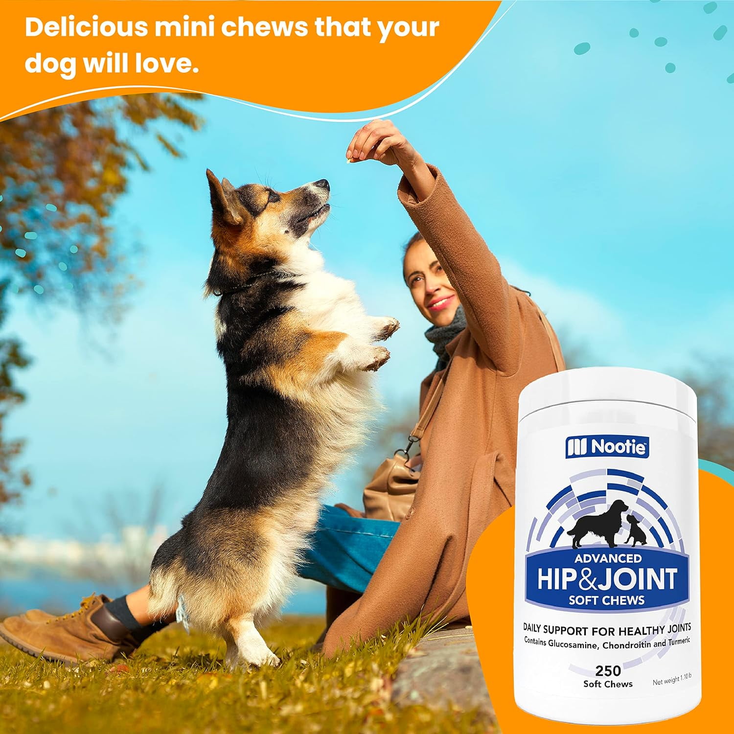 Nootie hip and hotsell joint soft chews