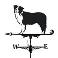 thumbnail image 1 of Farm Stainless Steel Home Weather Vane Wind Direction Indicator, Yard Measuring Tool - Collies, 1 of 7