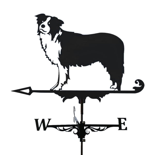 Farm Stainless Steel Home Weather Vane Wind Direction Indicator, Yard Measuring Tool - Collies