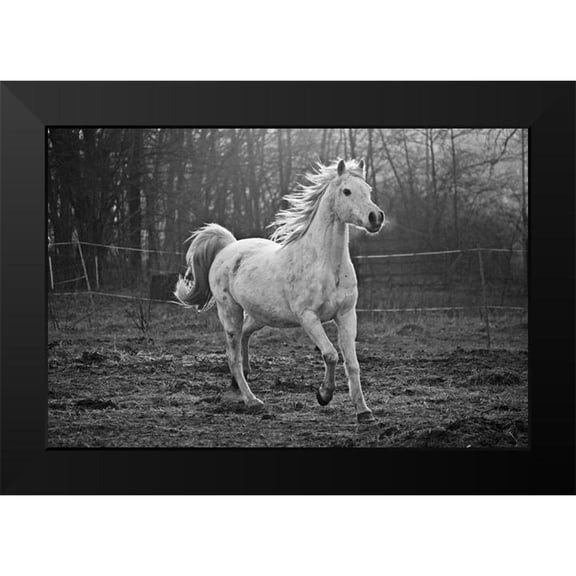 The Yellowstone Collection 14x11 Black Modern Framed Museum Art Print Titled - Galloping White
