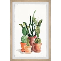 Parvez Taj Cactus Variety Framed Wall Art