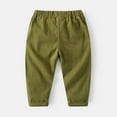 thumbnail image 3 of SonxaHe Toddler Boy's Cargo Pants Elastic Waist Loose Tapered Trousers with Pockets Child Cozy Fall Casual Pants Green,Sized 3-4, 3 of 6