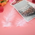 thumbnail image 3 of 300 Multicolored Feathers for Creative Crafts, Weddings & Home Decor (White), 3 of 7