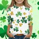 thumbnail image 1 of Blusas y camisas de manga larga y cuello redondo para niños con estampado del Día de San Patricio, manga 3/4/cuello redondo tres cuartos, parte inferior y superior para niños, parte superior de poliés, 1 of 5