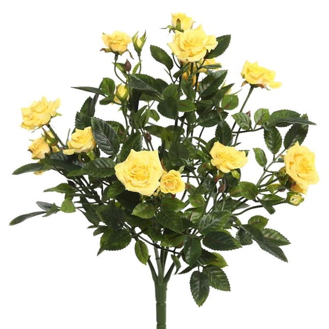 Yellow Mini Diamond Rosa X5 Floral Bush - 15 in.