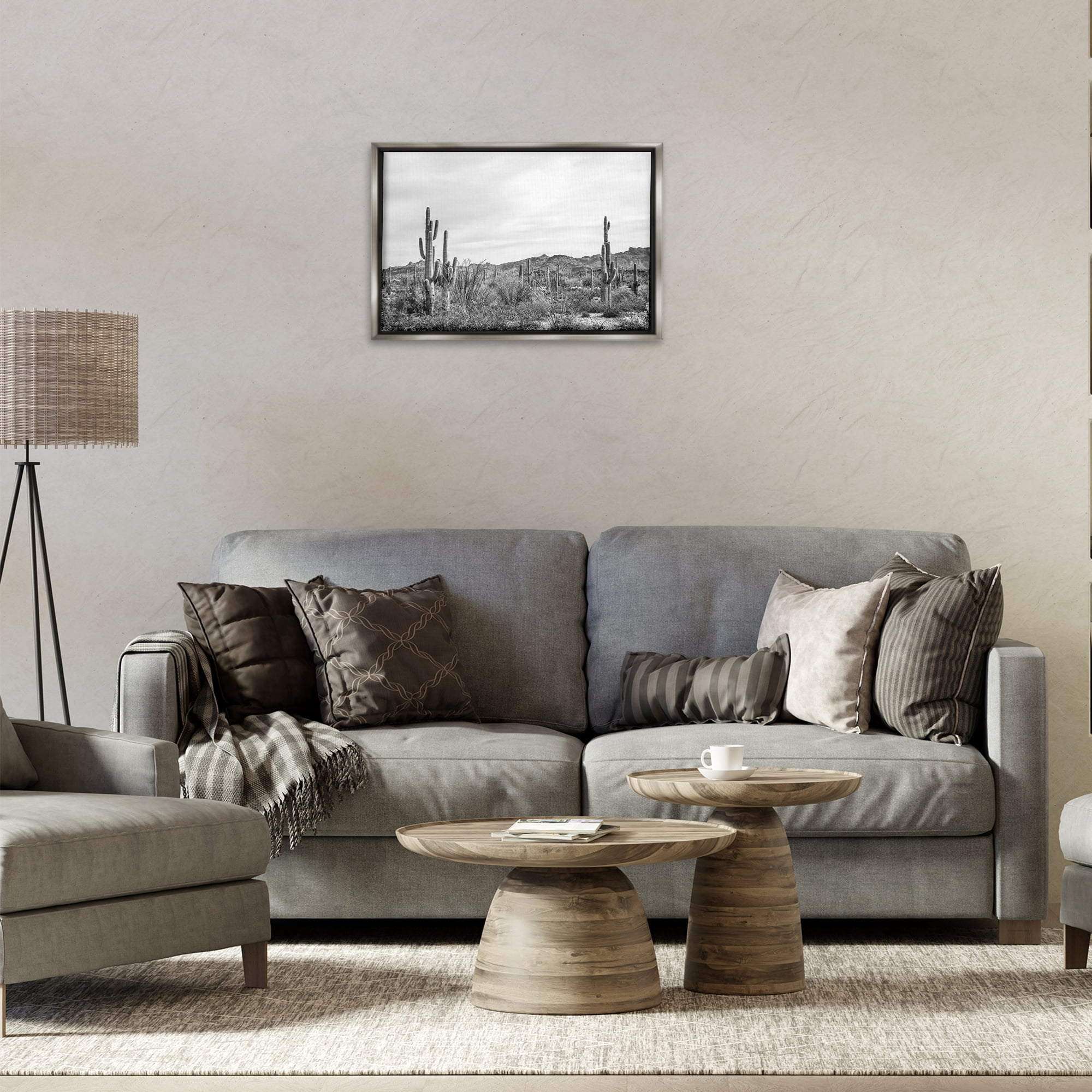 Stupell Industries Sonoran Desert Wonderland Landscape & Nature Photography Gray Floater Framed Canvas Art Print Wall Art, 25 x 17