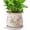 Vintage Pink Floral, variant on Ceramic-Planters-for-Indoor-Plants with Saucer, 6 inch Vintage Ice Crackle Glaze Plant Pots with Drainage Holes, Decorative Flower Pots for Outdoor Garden Home Decor, Tuscan Pot for Plant