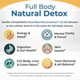 thumbnail image 4 of Healthy by Nature HolyLand Zeolite Cleanse Body Detox Powder for Immune Support and Gut Health, 16 oz (400 g), 4 of 7
