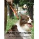 thumbnail image 4 of Correa para perro TINMARDA, resistente, absorbe los golpes de 4 a 6 pies, naranja, 4 of 7