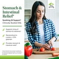 thumbnail image 3 of Terry Naturally Stomach & Intestinal Relief - 60 Vegan Capsules, 3 of 7