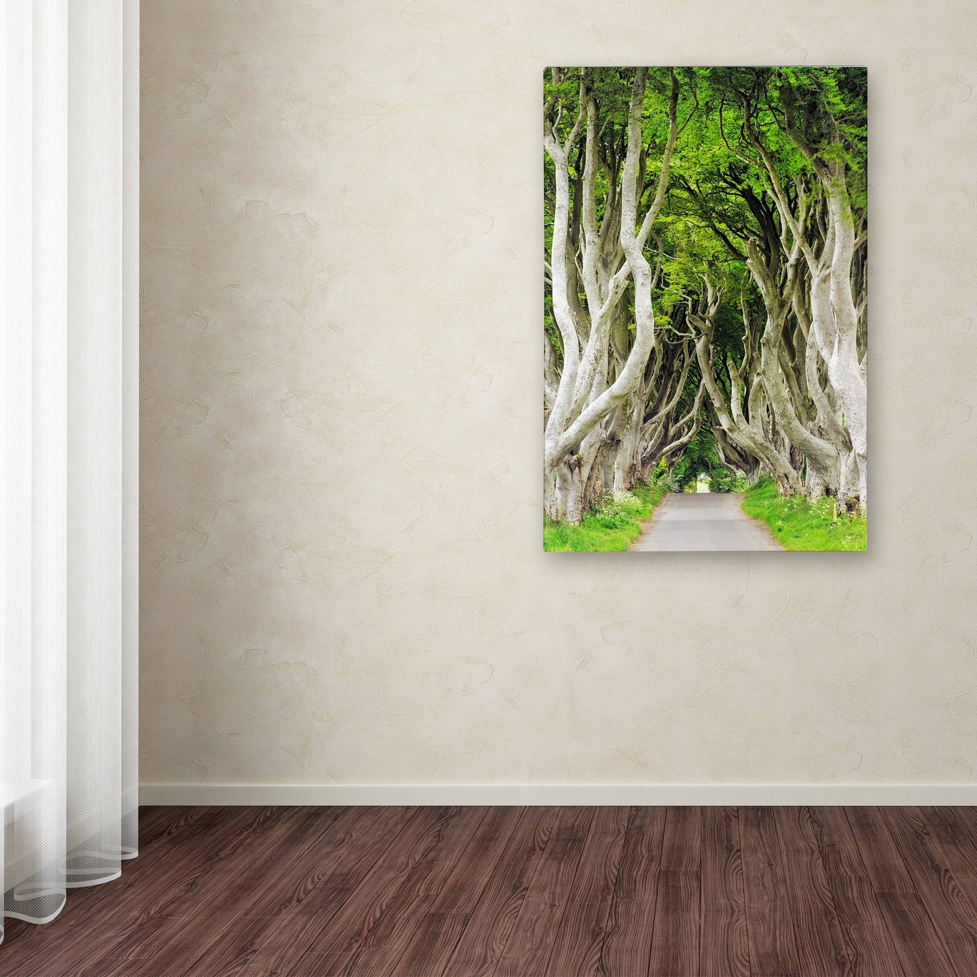 Trademark Fine Art "The Dark Hedges" Canvas Art by Philippe Sainte-Laudy