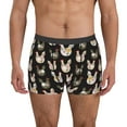 thumbnail image 1 of Fotbe Flowe Rooster Calzoncillos Tipo Boxer con Bolsa de Soporte Total para Hombre, X-Temp Fresco, Transpirable y de Secado Rápido-Small, 1 of 5