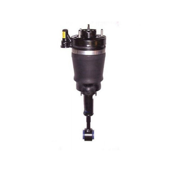 Rear Suspension Air Strut - Compatible with 2003 - 2006 Lincoln Navigator 2004 2005